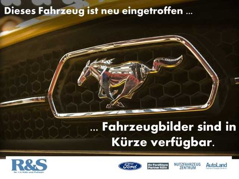 Ford Ranger Platinum Doppelkabine Hardtop+LED-Matrix+AHK+360°+Navi